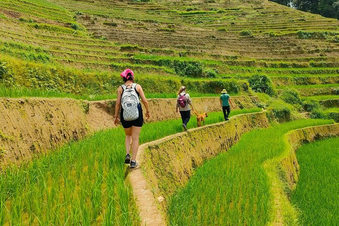 3N2D Tour | Colors of the Highlands in Mu Cang Chai Depart from Hanoi