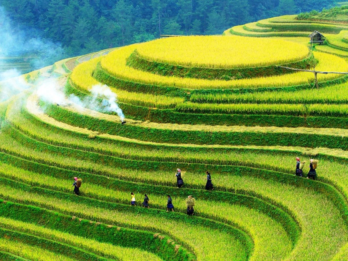 3D2N Tour | Mu Cang Chai Rice Terraces Adventure Depart from Hanoi
