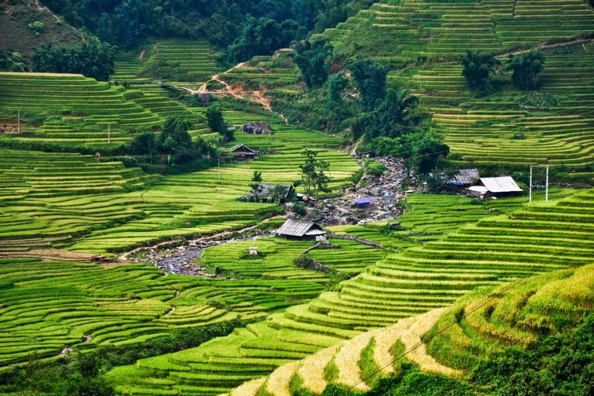 Mountain lodges in Sapa offer spectacular views of terraced rice fields