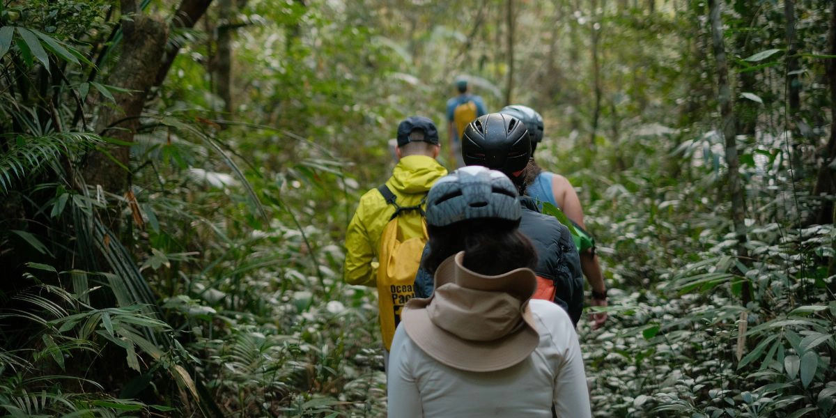 Tailored tours for your travel pace