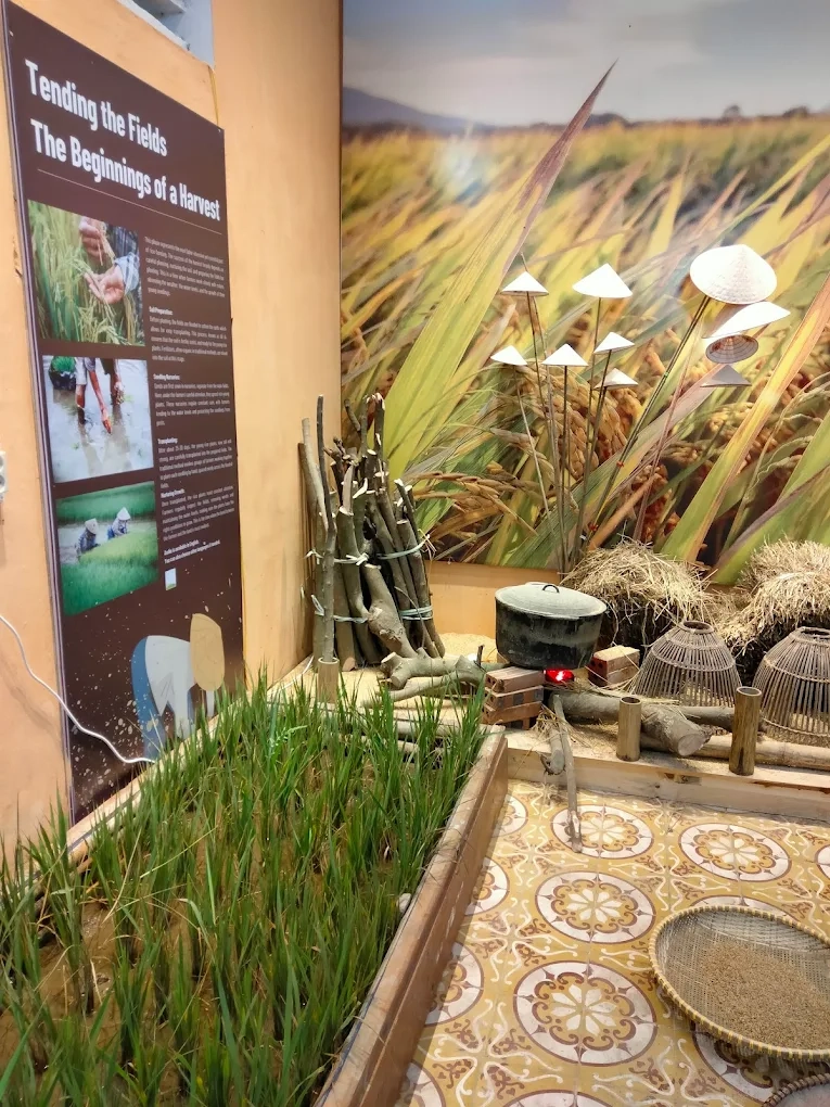Authentic Experiences with Rice and Buffalo Adventure Workshop in Ninh Binh 