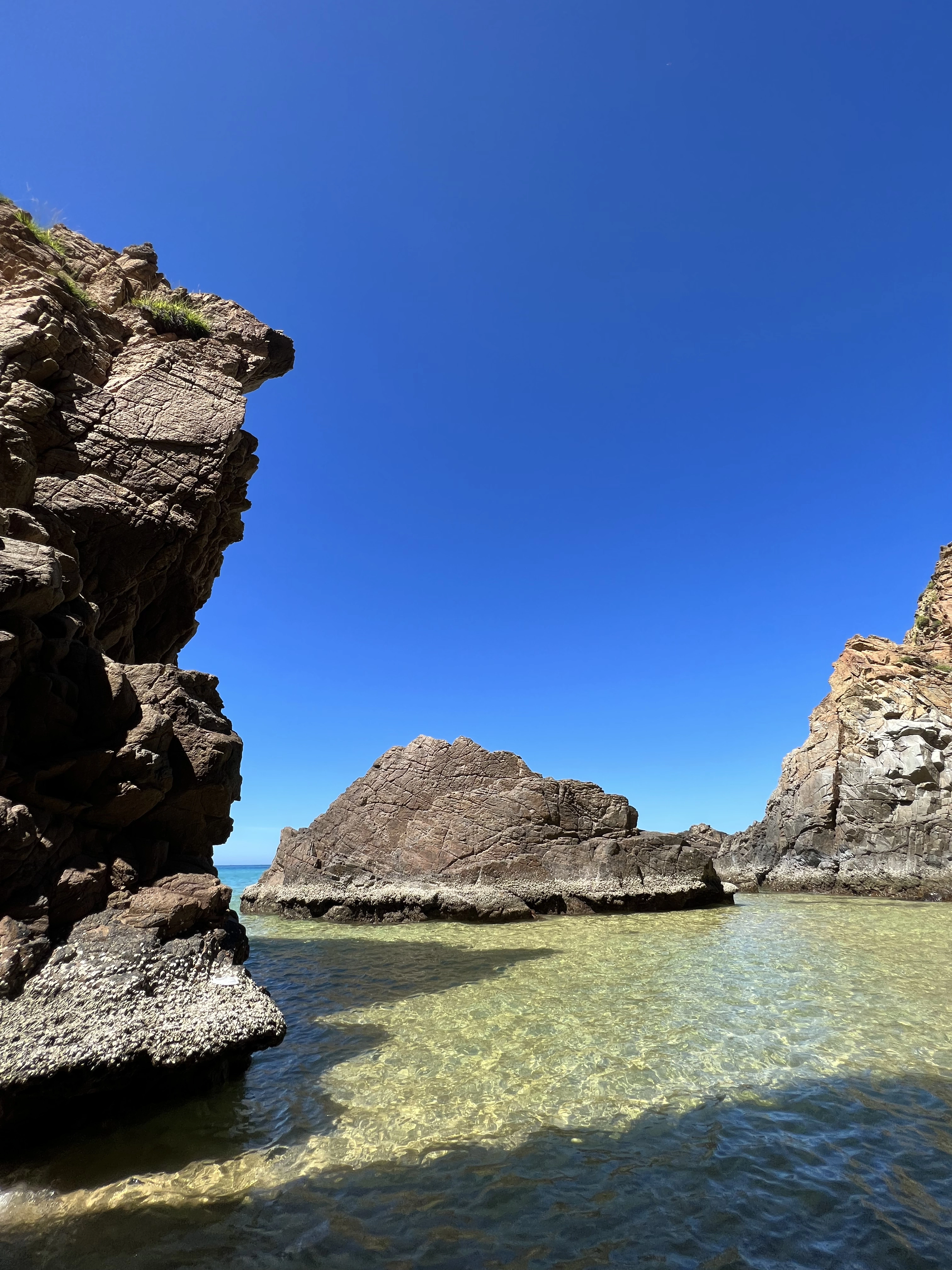 Private tour | Quy Nhon Coral Snorkeling Tour
