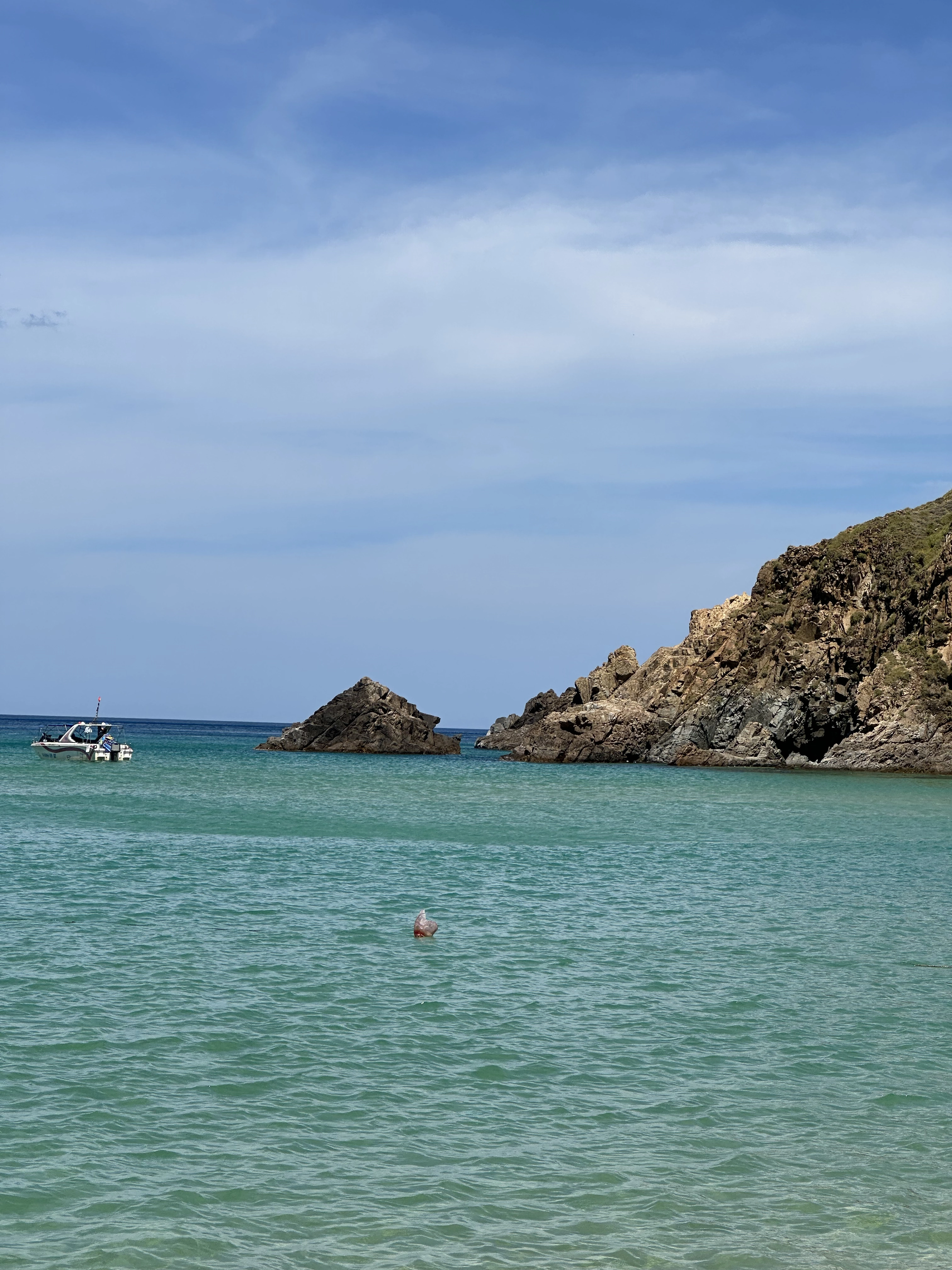 Private tour | Quy Nhon Coral Snorkeling Tour