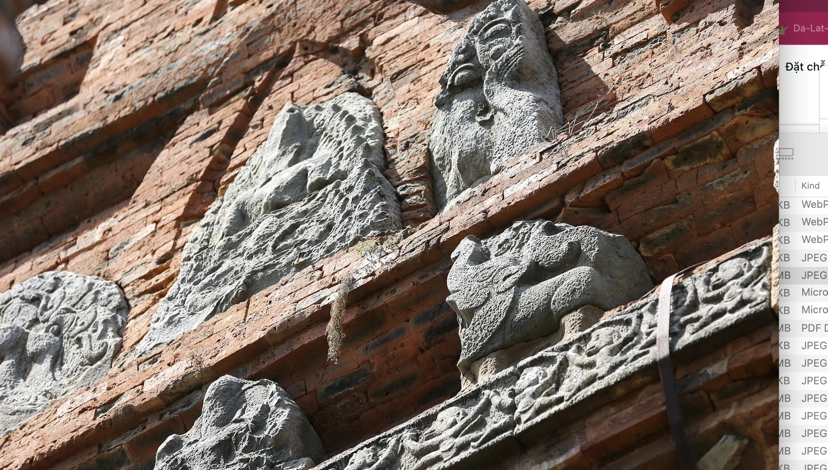 Private tour | Echoes of Champa - Ancient Tower Discovery Tour depart from Quy Nhon 