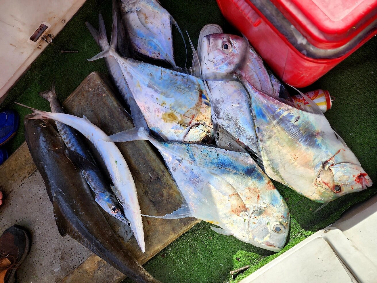 Half Day Tour | Deep sea fishing in Phu Quoc