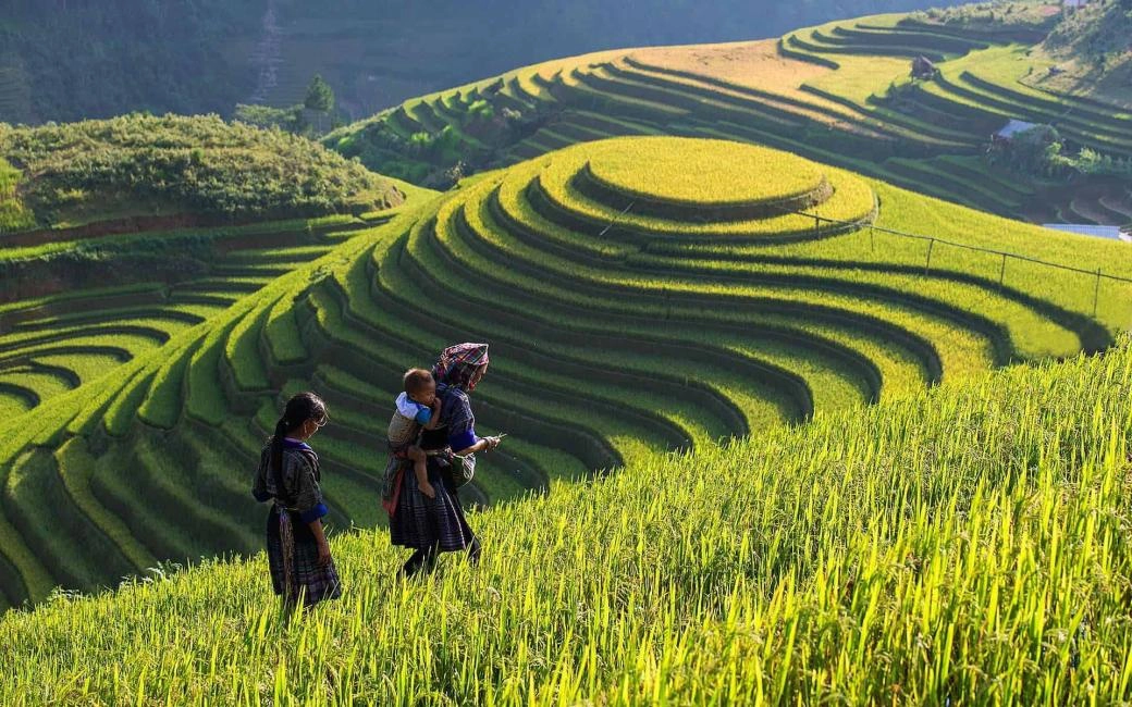 Half Day Tour | Muong Hoa Valley, Ta Van Village Walk & Instagram Spa or Cafe (No-Trek) | Sapa, Vietnam