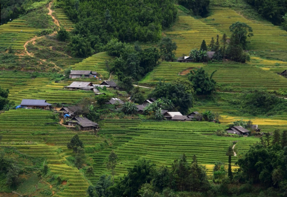 Half Day Tour | Muong Hoa Valley, Ta Van Village Walk & Instagram Spa or Cafe (No-Trek) | Sapa, Vietnam