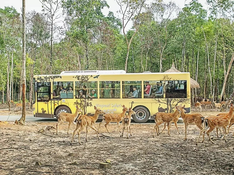 Day Tour | Vinpearl Safari, Rach Vem Beach, Pearl Farm, Ham Rong Beach & Silk Shop with Lunch in Phu Quoc