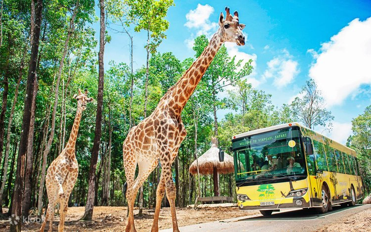 Day Tour | Vinpearl Safari, Rach Vem Beach, Pearl Farm, Ham Rong Beach & Silk Shop with Lunch in Phu Quoc