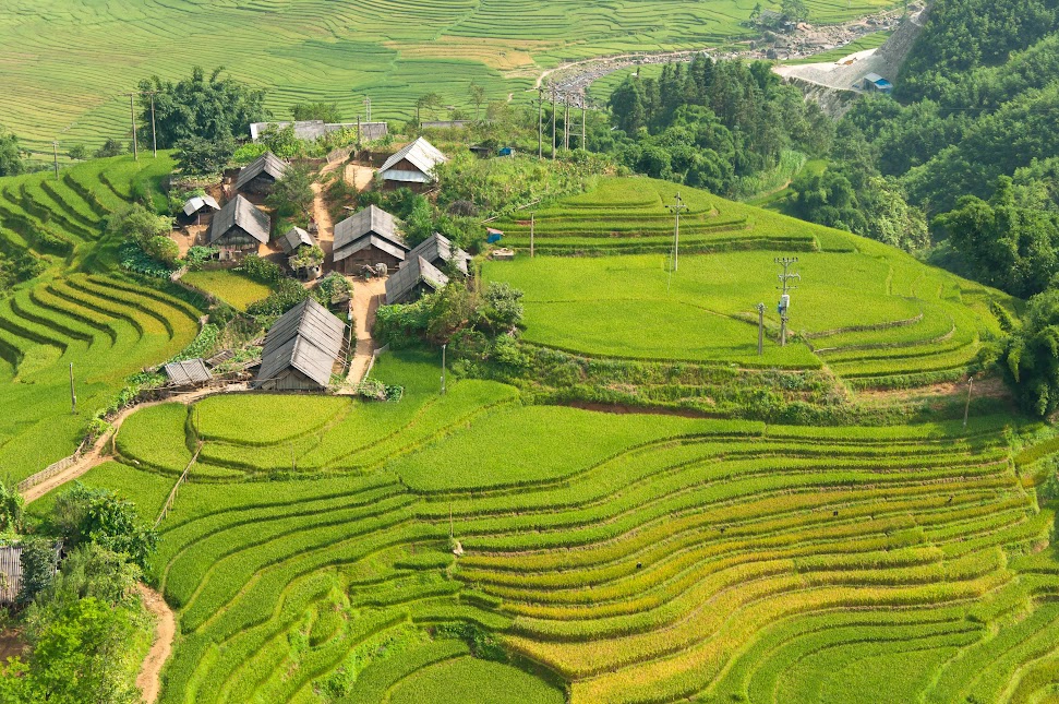 Day Tour | Cat Cat Village Half-Day Trek with Local Guide in Sapa