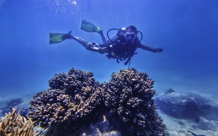 Day Tour | Tropical Yatching Tour in Nha Trang by Marmoris Yatch 