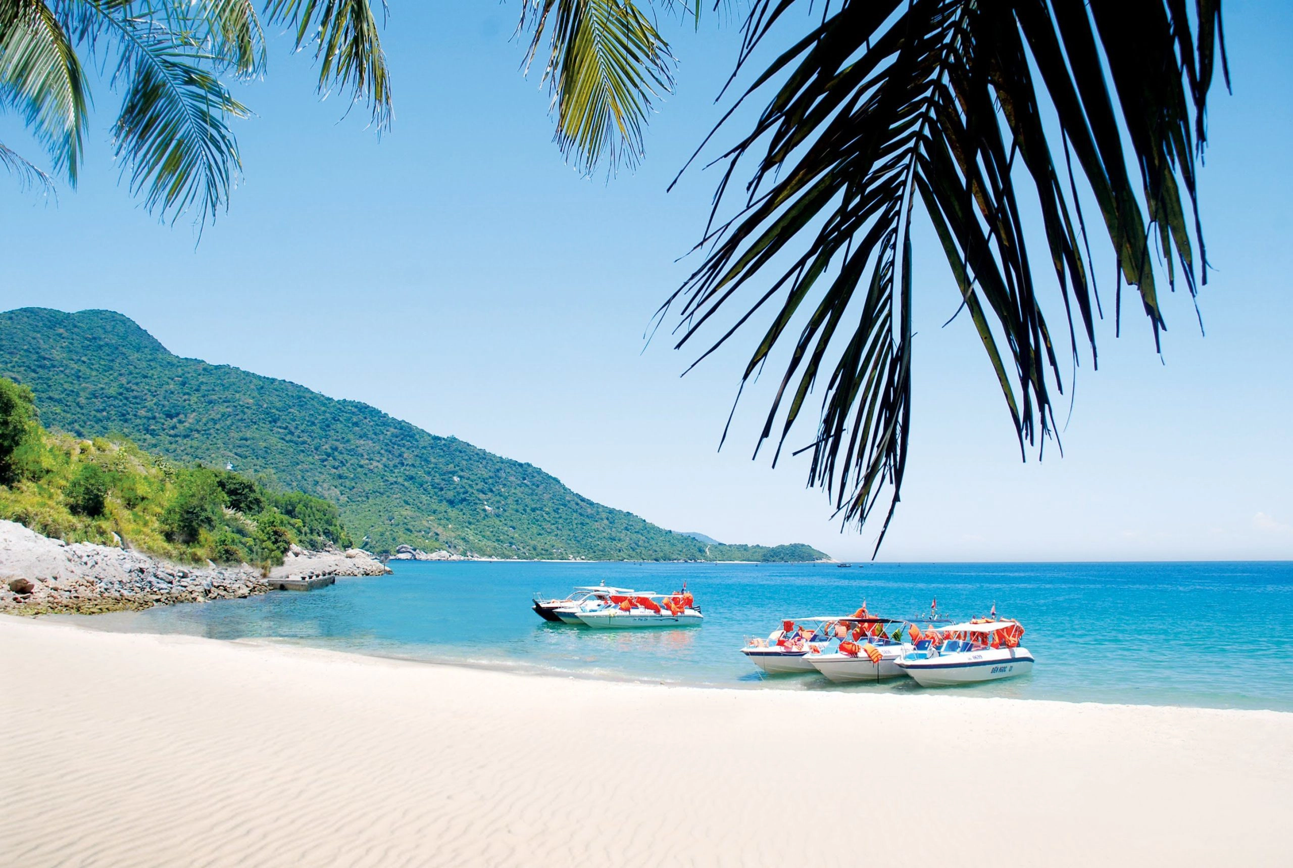 Day Tour | Cham Island Snorkeling & Seafood Discovery from Hoi An
