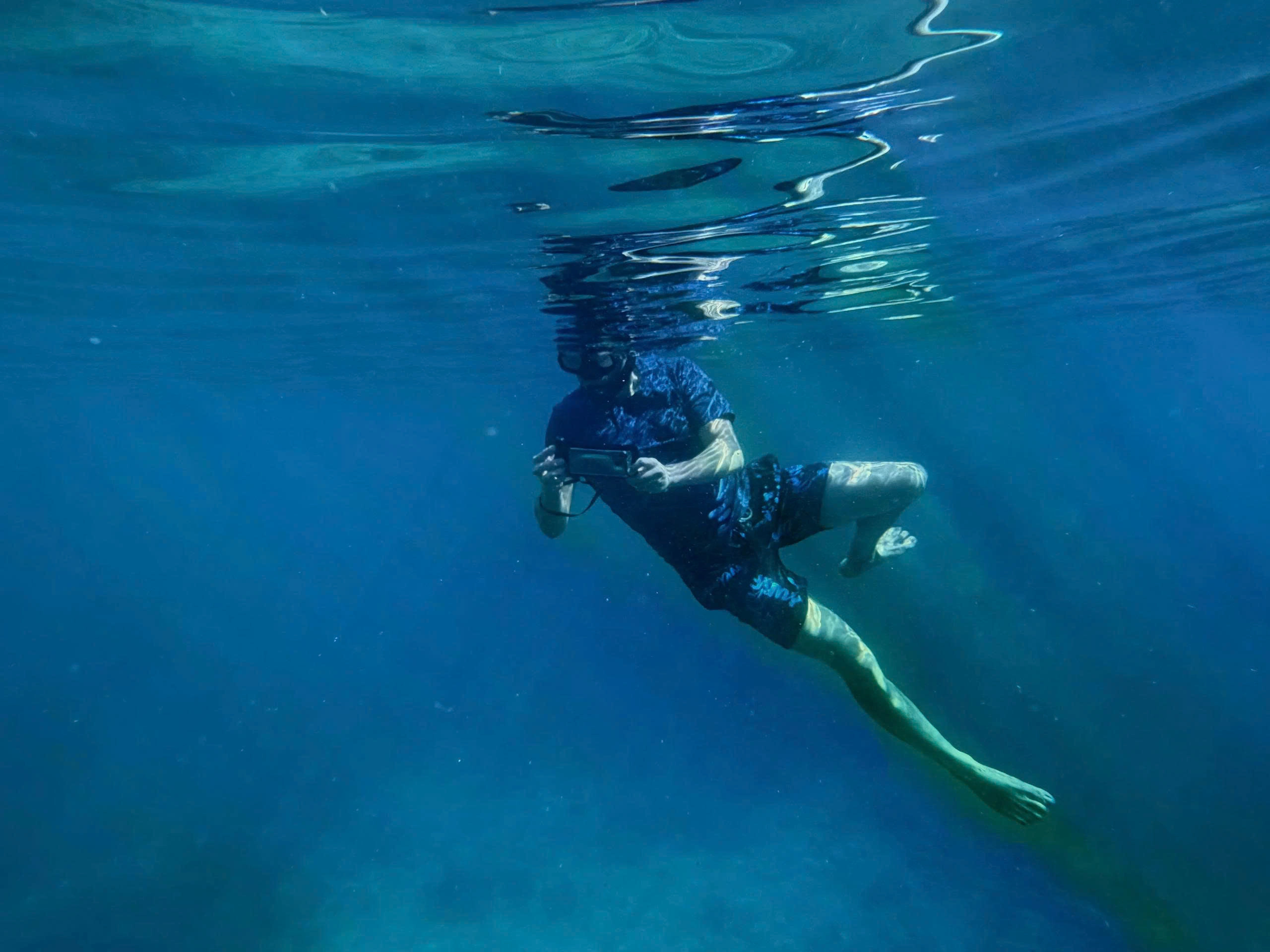 Half-day tour | Snorkeling & Exploring Turtle island in Con Dao