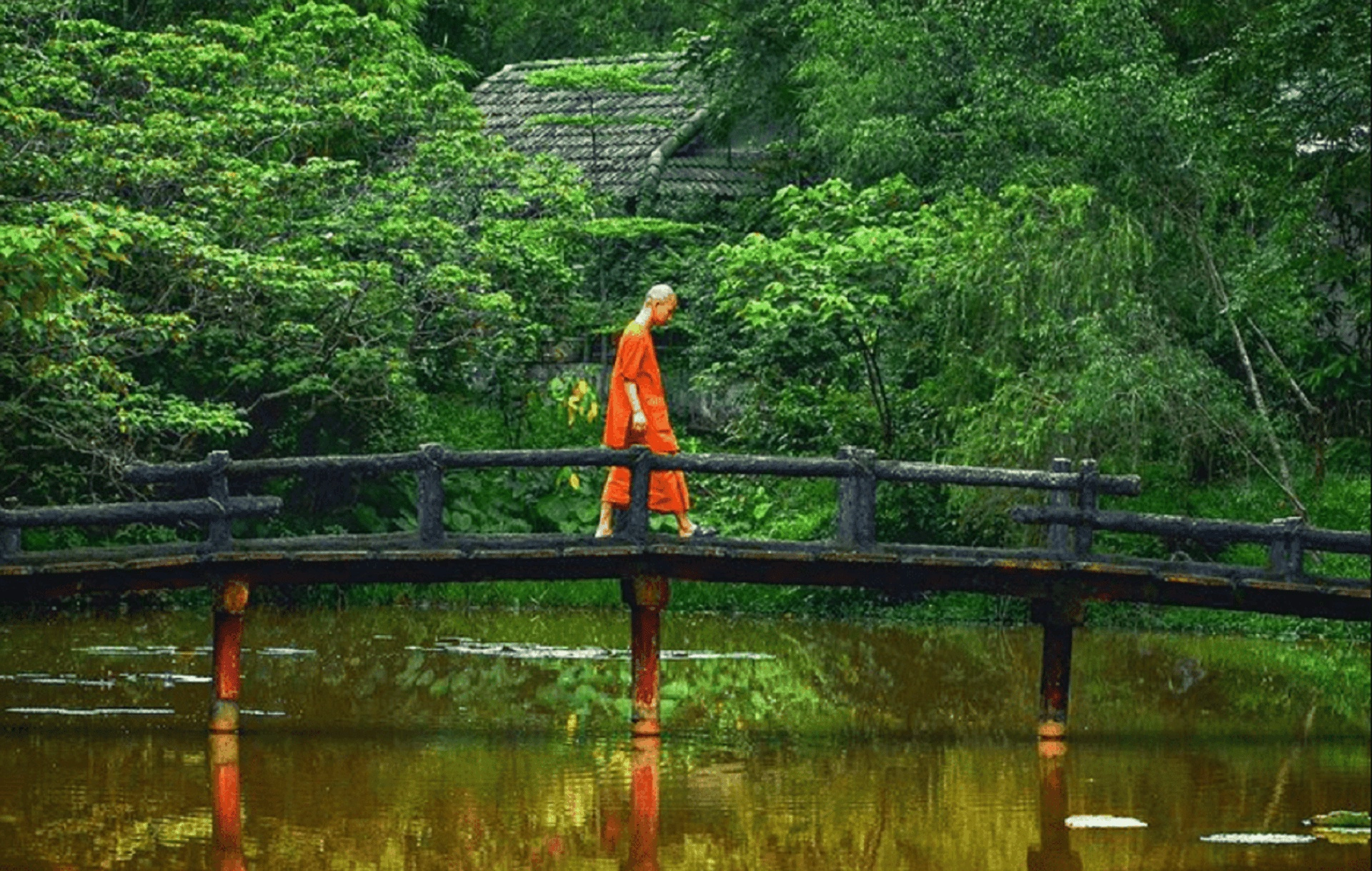 Full-day tour | Buddhism tour in Hue 