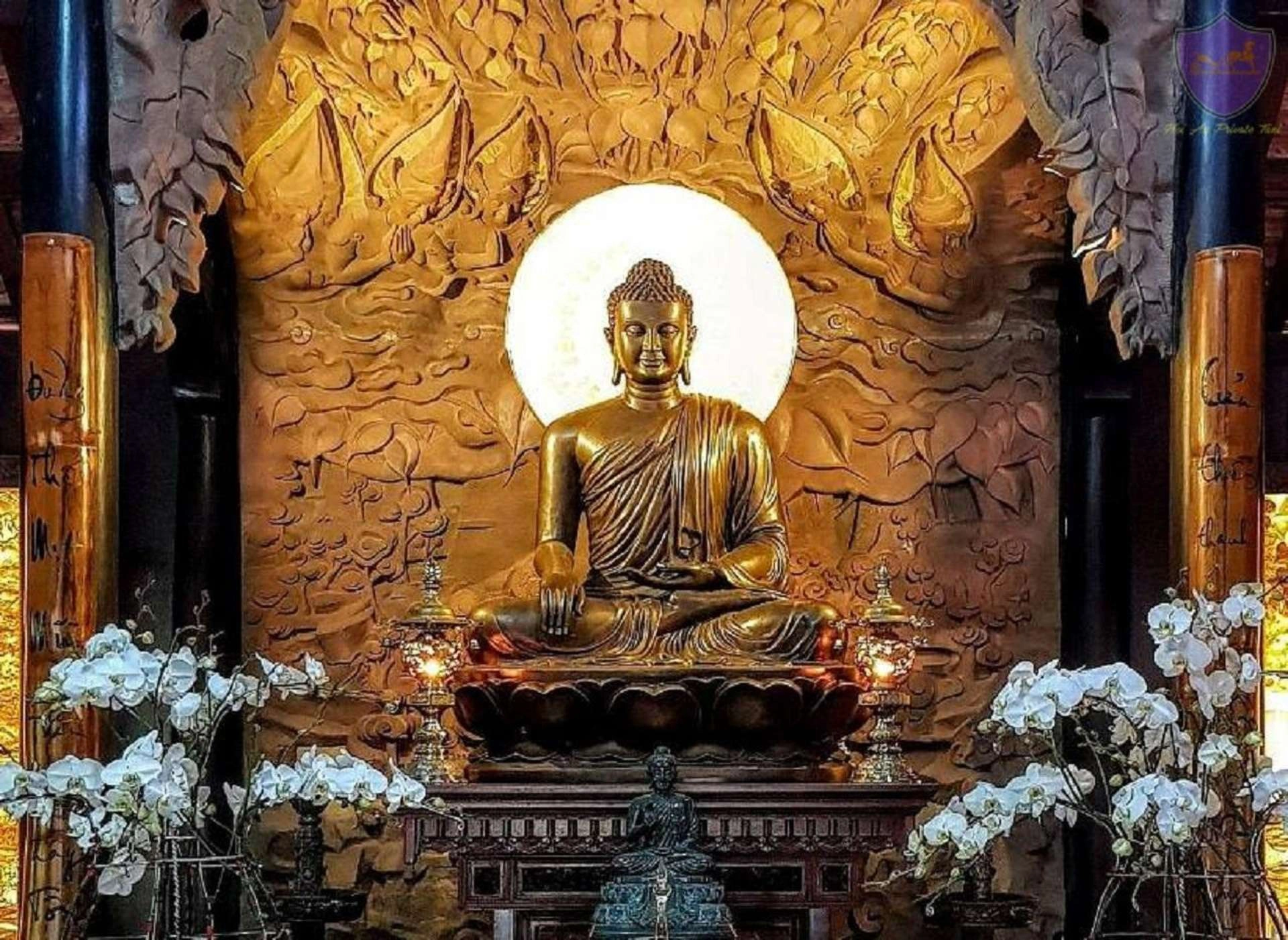 Full-day tour | Buddhism tour in Hue 
