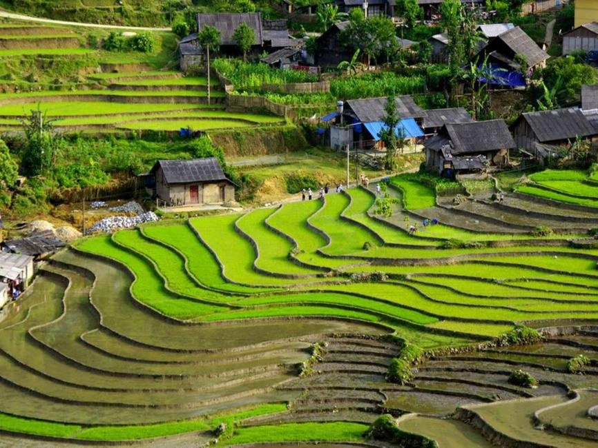 Day Tour | Muong Hoa Valley Trekking Tour: Y Linh Ho, Lao Chai & Ta Van Villages Depart from Sapa