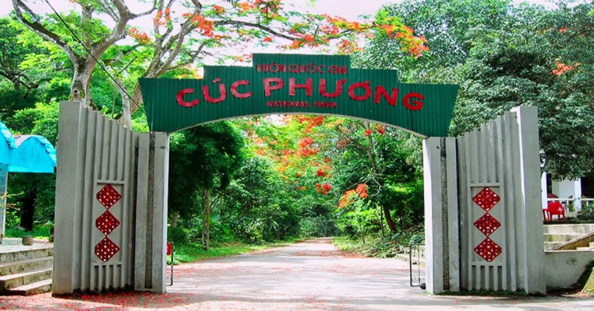Cuc Phuong Forest Trek Primate Rescue Center