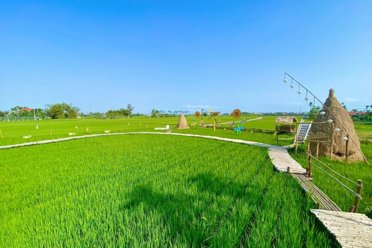 Hoi An’s rice fields offer a peaceful countryside escape