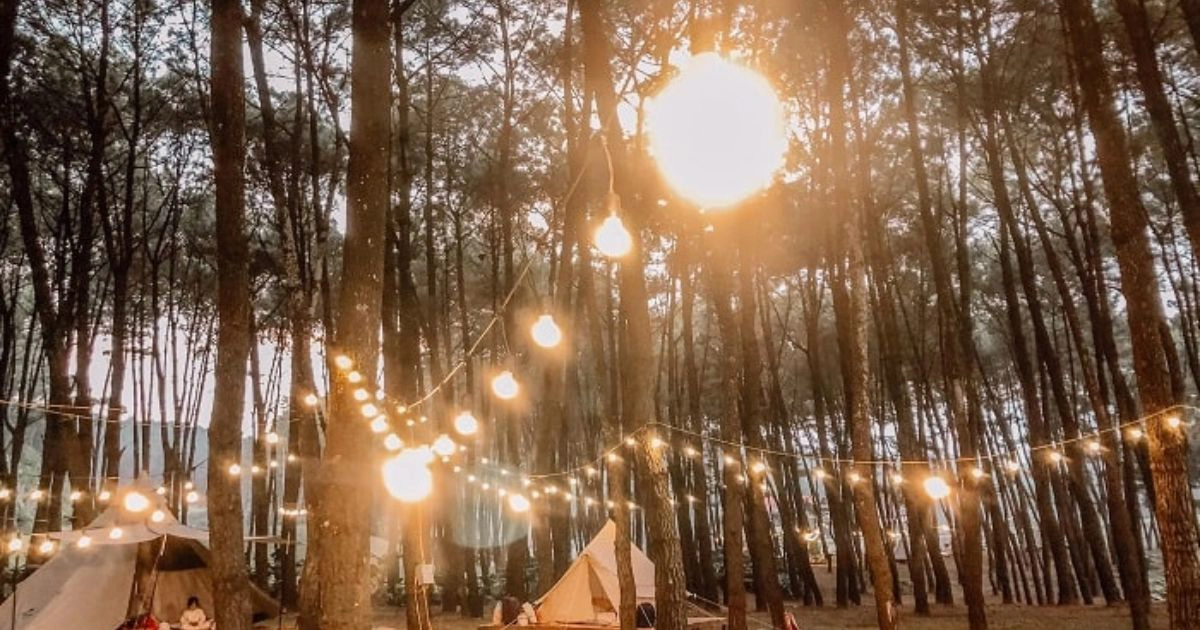 Nho Quan Pine Hill Camping Ninh Binh