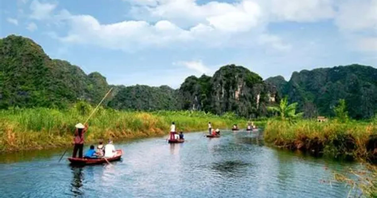 Thung Nang Rowing Boat Rice Fields Ninh Binh