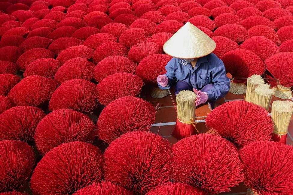 Private Tour | Incense Village, Hoa Lu Ancient Capital & Van Long Wetland from Hanoi