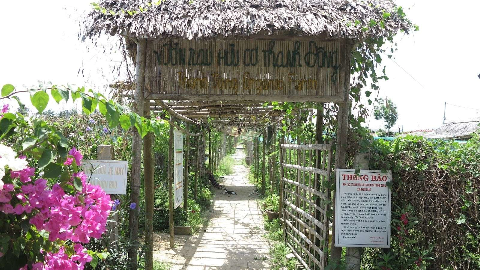 Regenerative Gardening Workshop in Hoi An
