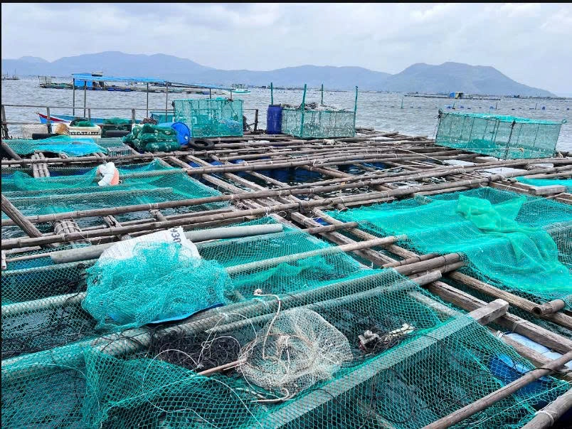 Private tour | Phu Yen Heritage & Coastal Day Tour from Quy Nhon