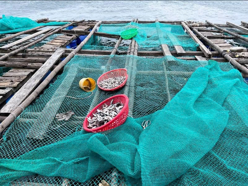 Private tour | Phu Yen Heritage & Coastal Day Tour from Quy Nhon