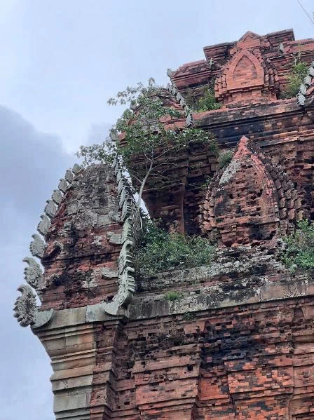 Private tour | Legends of Champa & Hidden Handicarft Villages in Quy Nhon