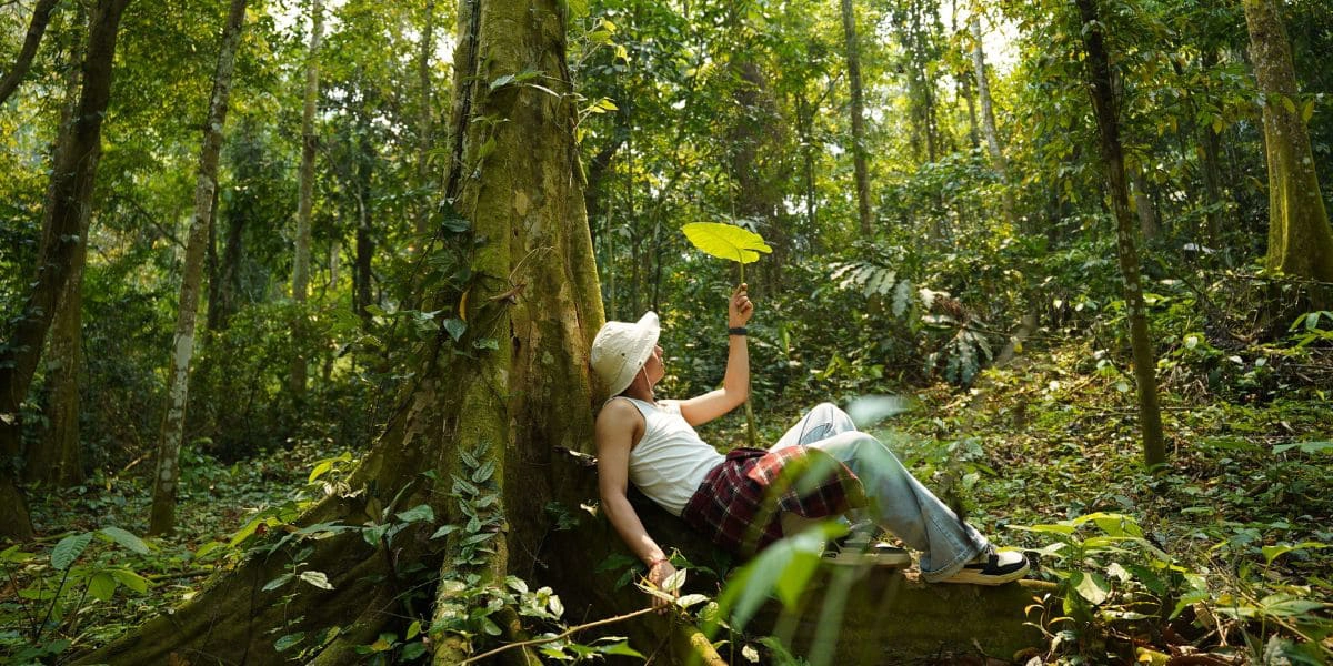 Into the ancient forest of Cuc Phuong
