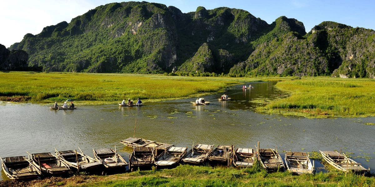 Van Long peaceful wetland