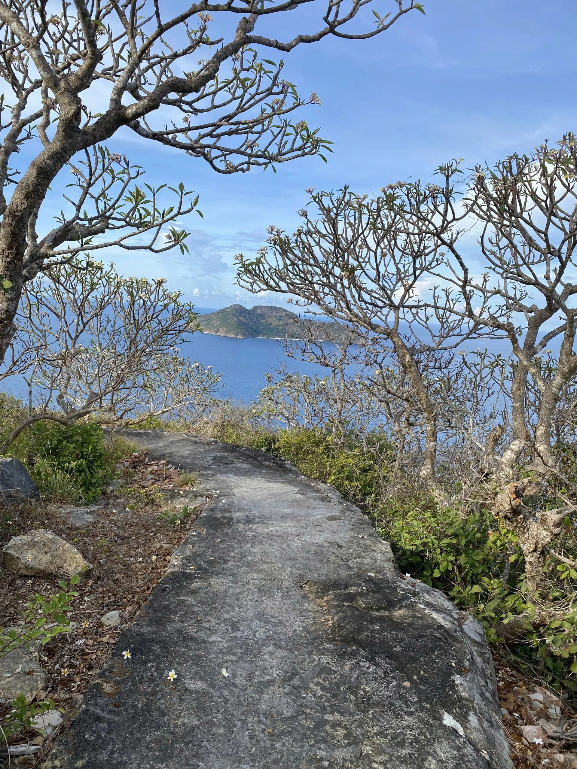 Half-day tour | Trekking to Bay Canh island's Lighthouse & Snorkeling