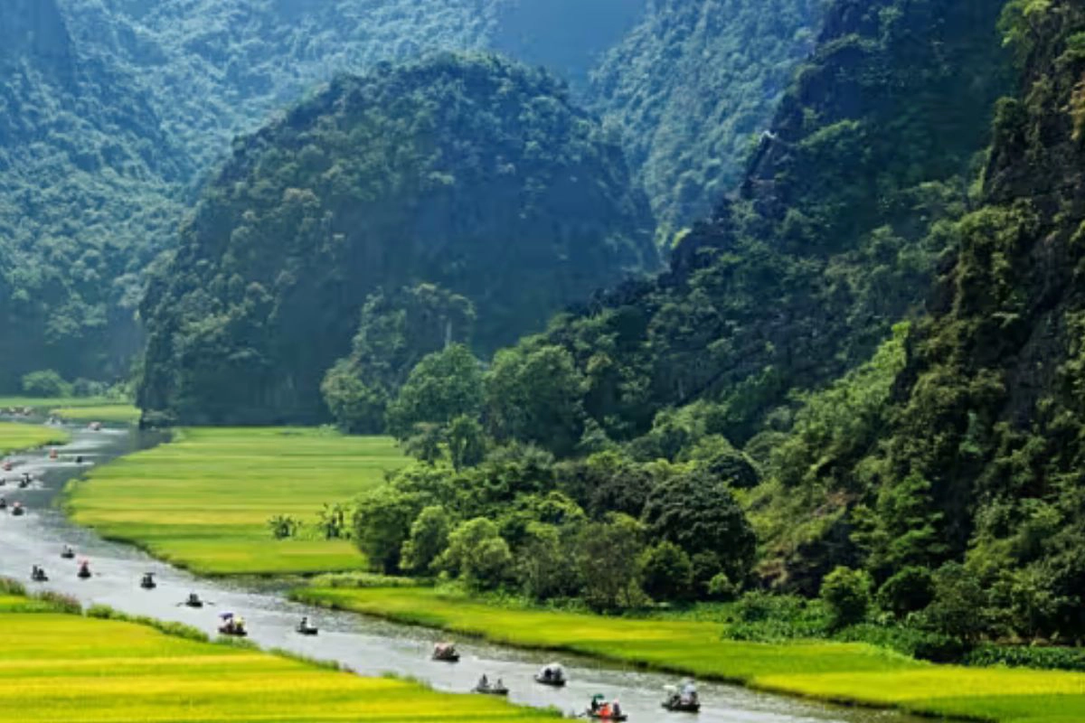 Best Ninh Binh tours for every type of traveler