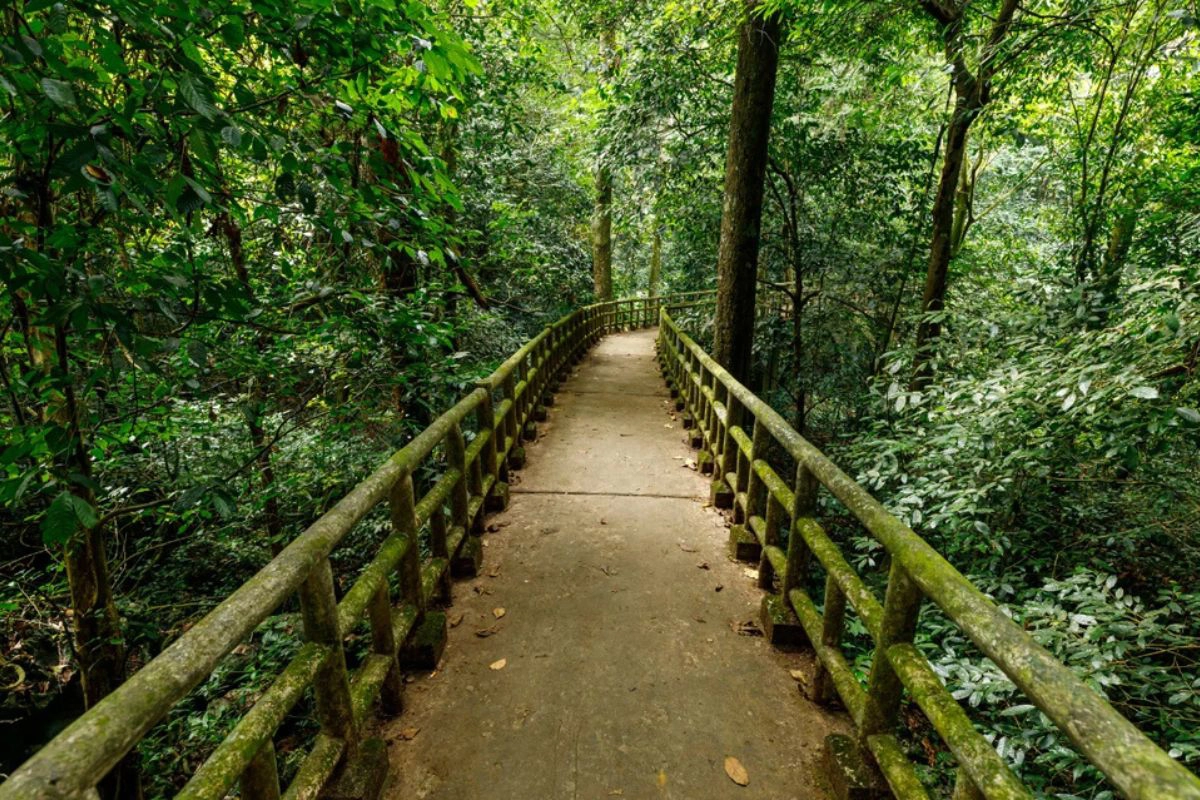 Cuc Phuong national park - Vietnam’s oldest national park