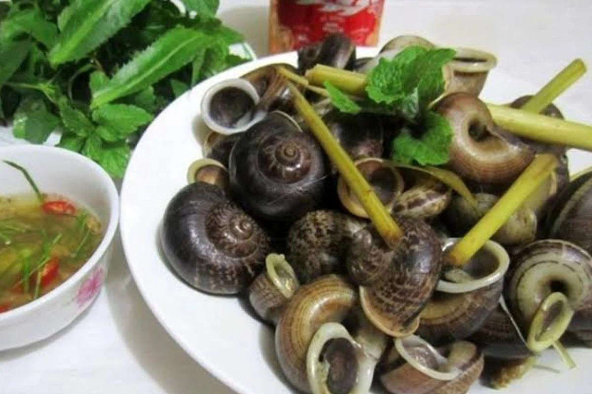 Mountain snails are one of Ninh Binh’s rarest local specialties