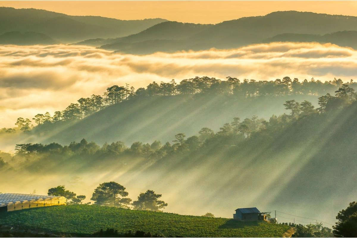 When Should You Not Go to Vietnam? A Region-by-Region Guide