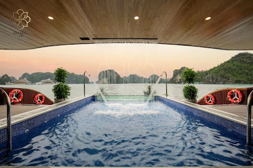 2D1N | Enjoy the natural beauty in 5* Du Yen Cruise in Halong Bay