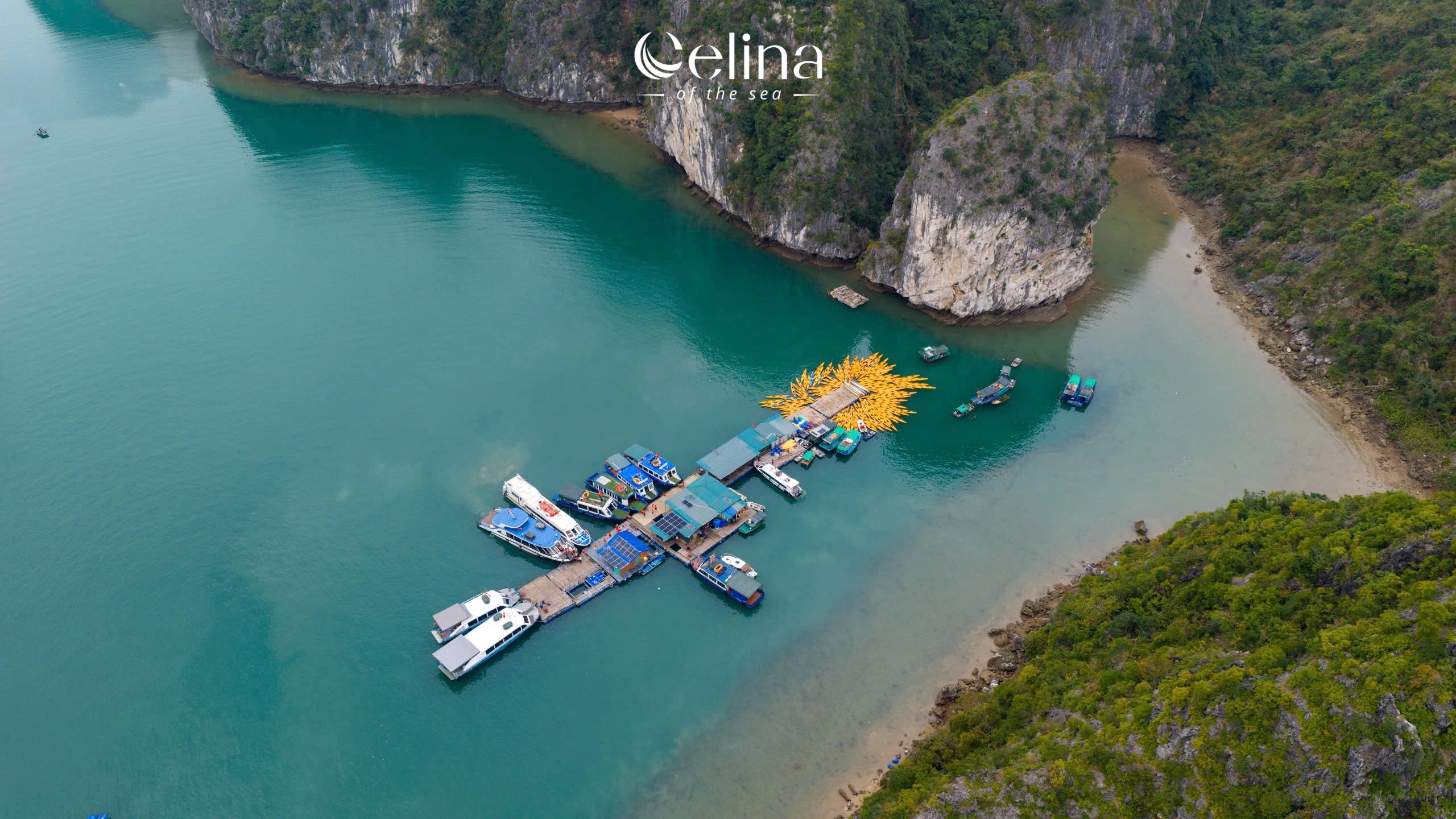 2D1N | Exploring Lan Ha Bay and Cat Ba Bay in 5* Celina of the Sea | Hạ Long