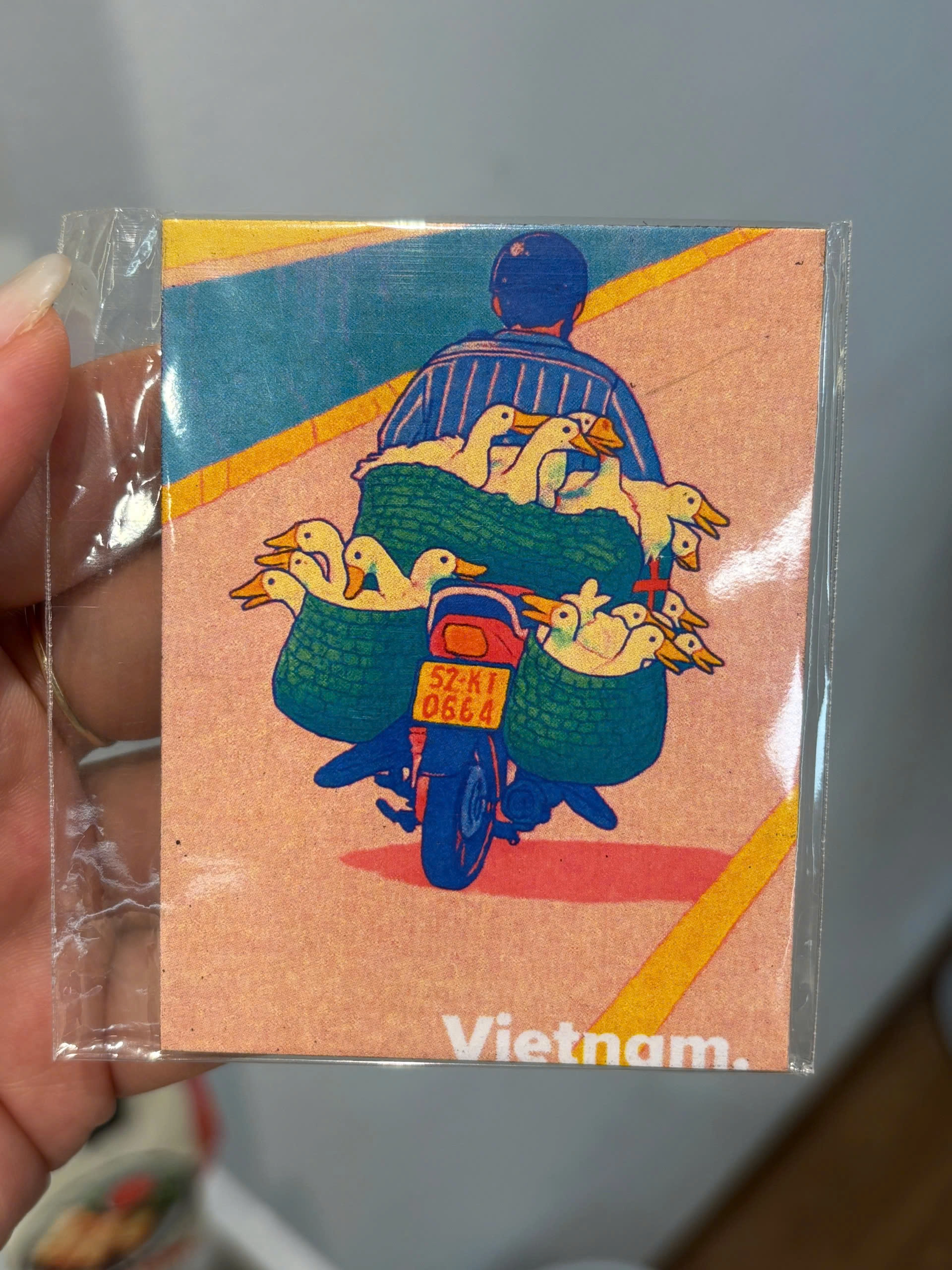 Vietnam Souvenir Fridge Magnet | Chodole