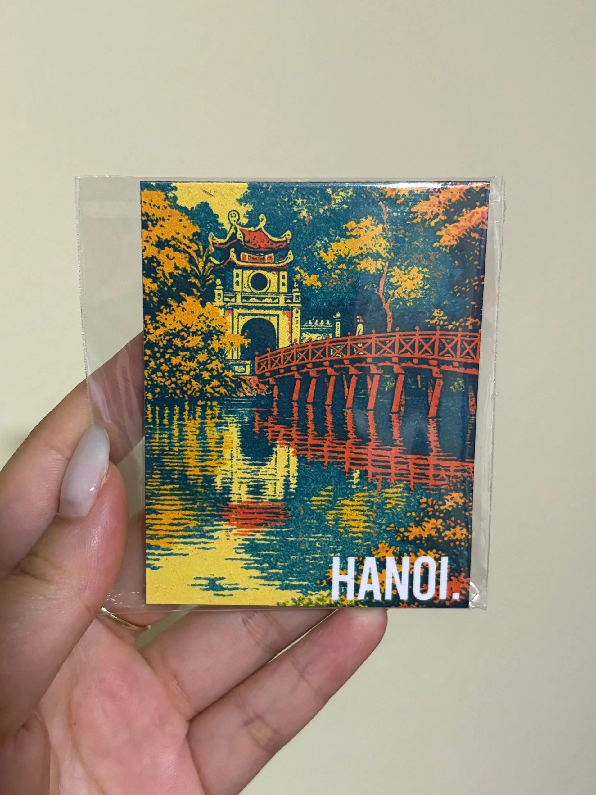Vietnam Souvenir Fridge Magnet | Chodole