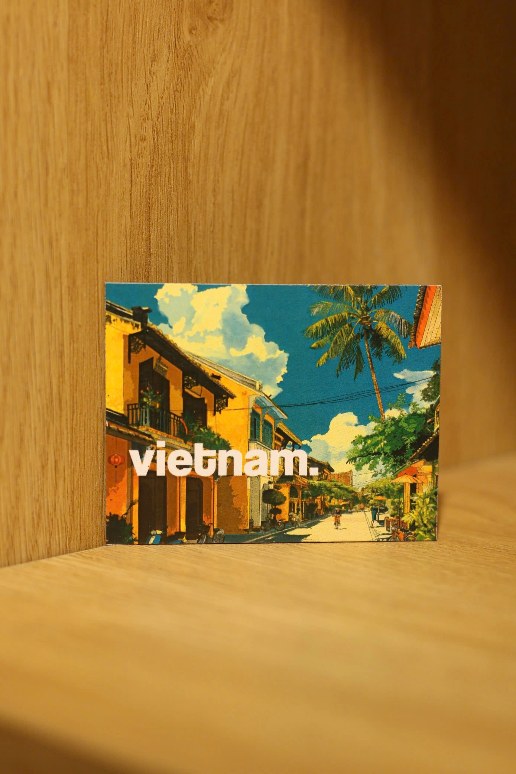 Vietnam Souvenir Fridge Magnet | Chodole