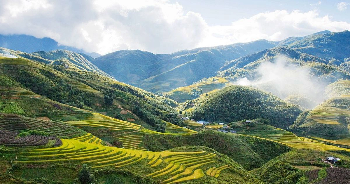 Sapa rice terraces during the best travel season