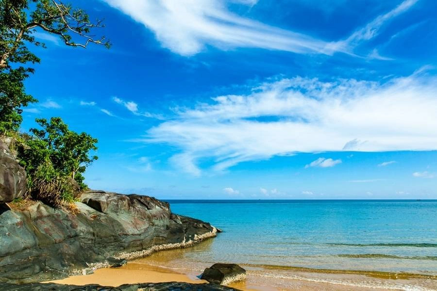 Half-day tour | Turtle release and Snorkeling In Con Dao Island