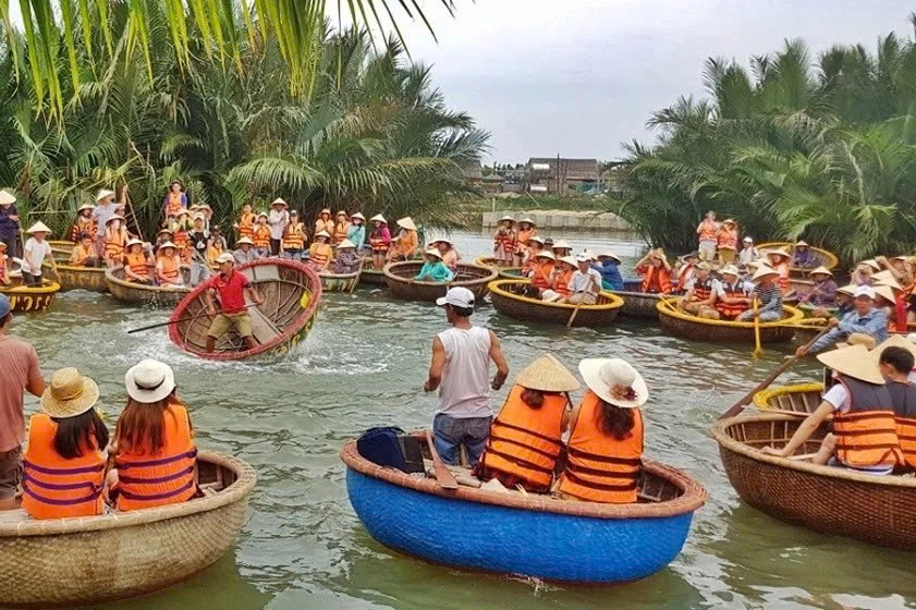 Bay Mau Coconut Forest Entrance Ticket
