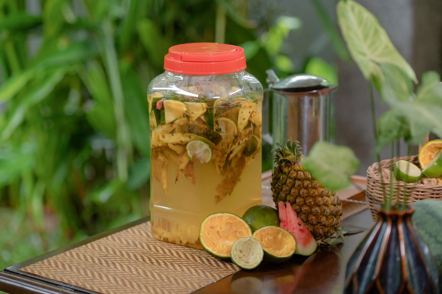 Hoi An Eco Enzyme Experience