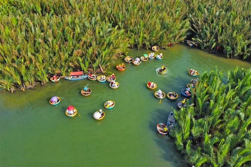 Bay Mau Coconut Forest Entrance Ticket