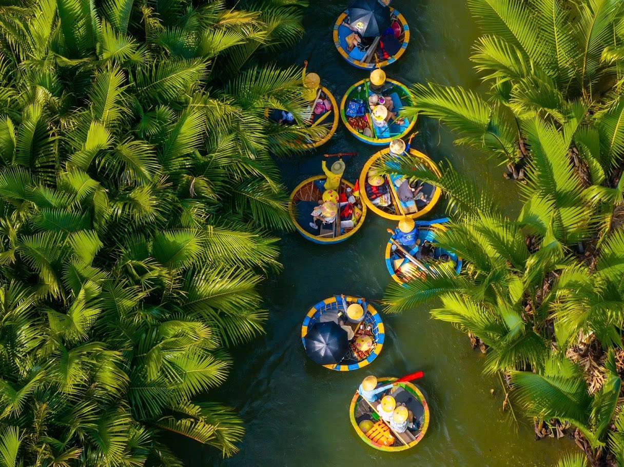 Bay Mau Coconut Forest Entrance Ticket