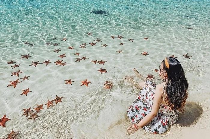 Day Tour | Vinpearl Safari, Rach Vem Beach, Pearl Farm, Ham Rong Beach & Silk Shop with Lunch in Phu Quoc