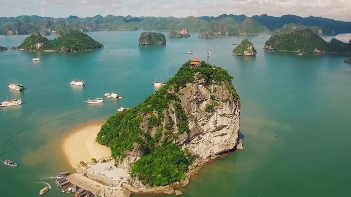 Day tour | Enjoy Halong Bay with Sea Octopus President Cruise