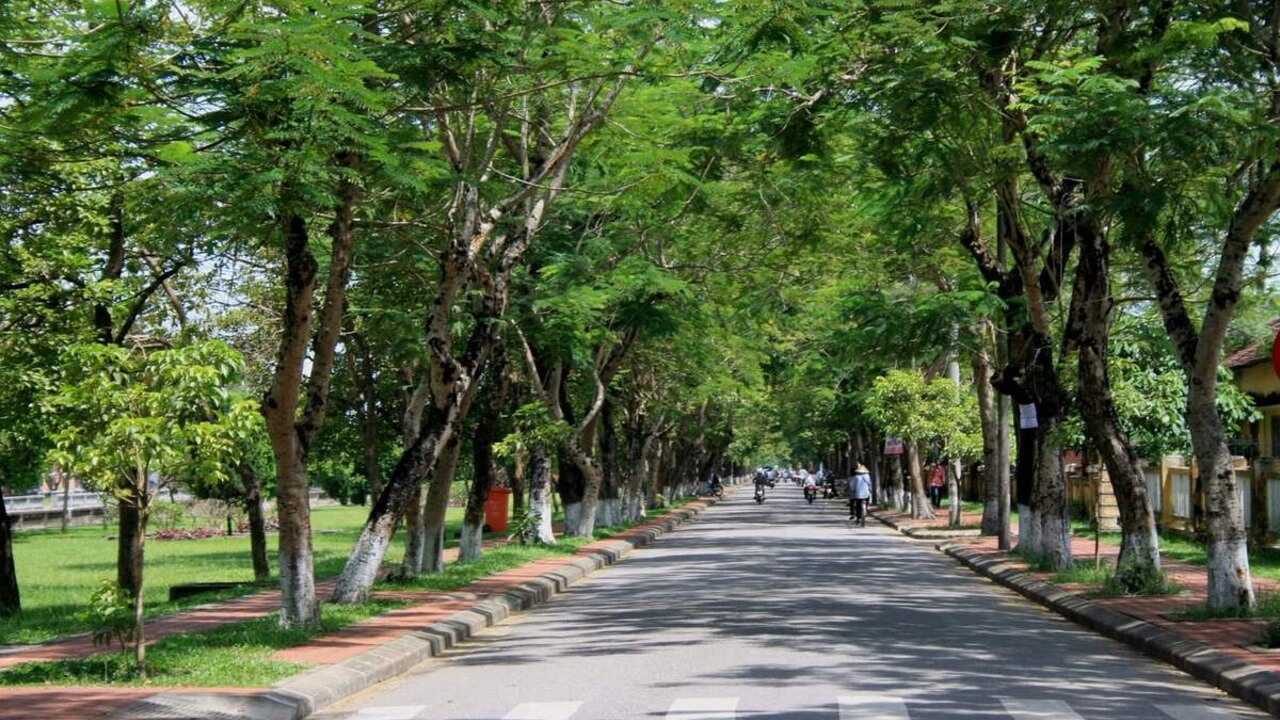 Half-day tour | Explore Hue Imperial Citadel by Cyclo